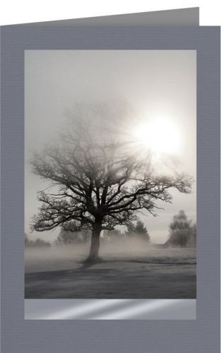 Trauerkarte Baum Natur